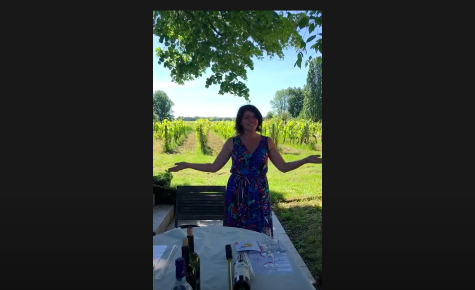 Mesures sanitaires L.O Wine