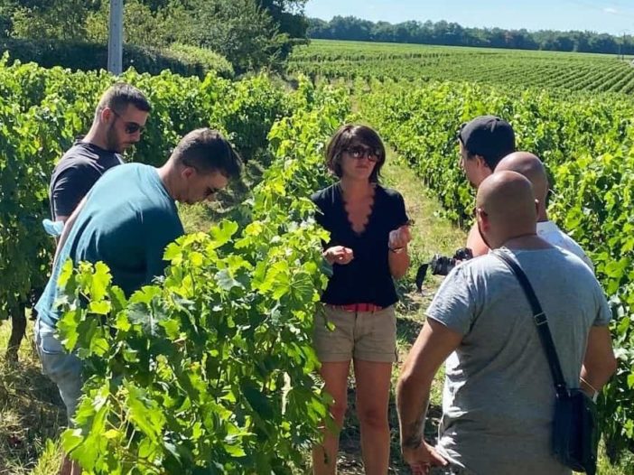 Visite vignoble Bordeaux