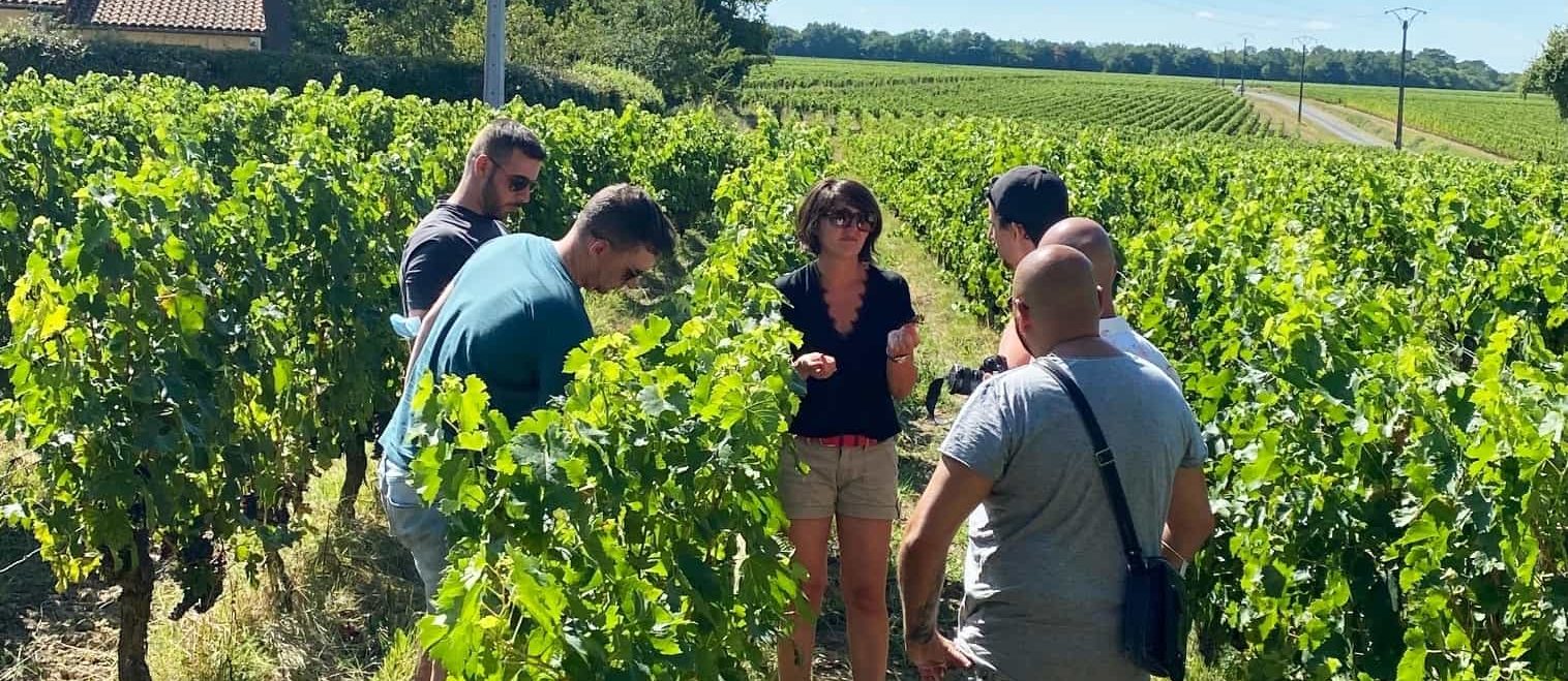 Visite vignoble Bordeaux