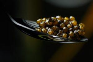Caviar dans une cuillière 